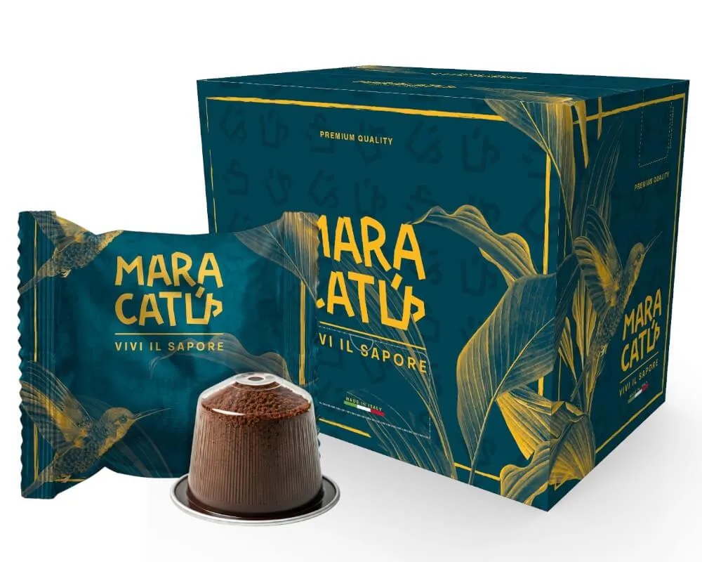 https://maracatu.pl/storage/15929/conversions/maracatù-fronte2-Photoroom-(1)-webp.webp