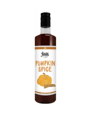 750ml Fonte Pumpkin Spice – Sciroppo Barista